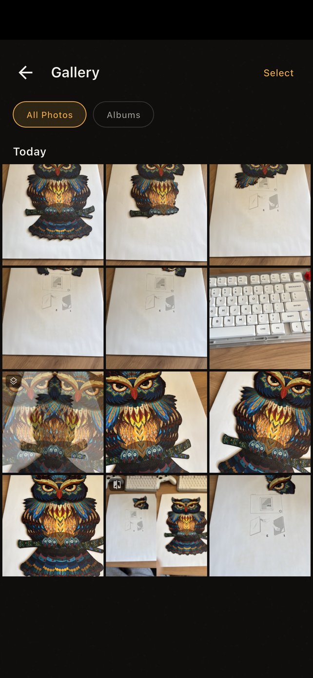 Photo gallery screenshot