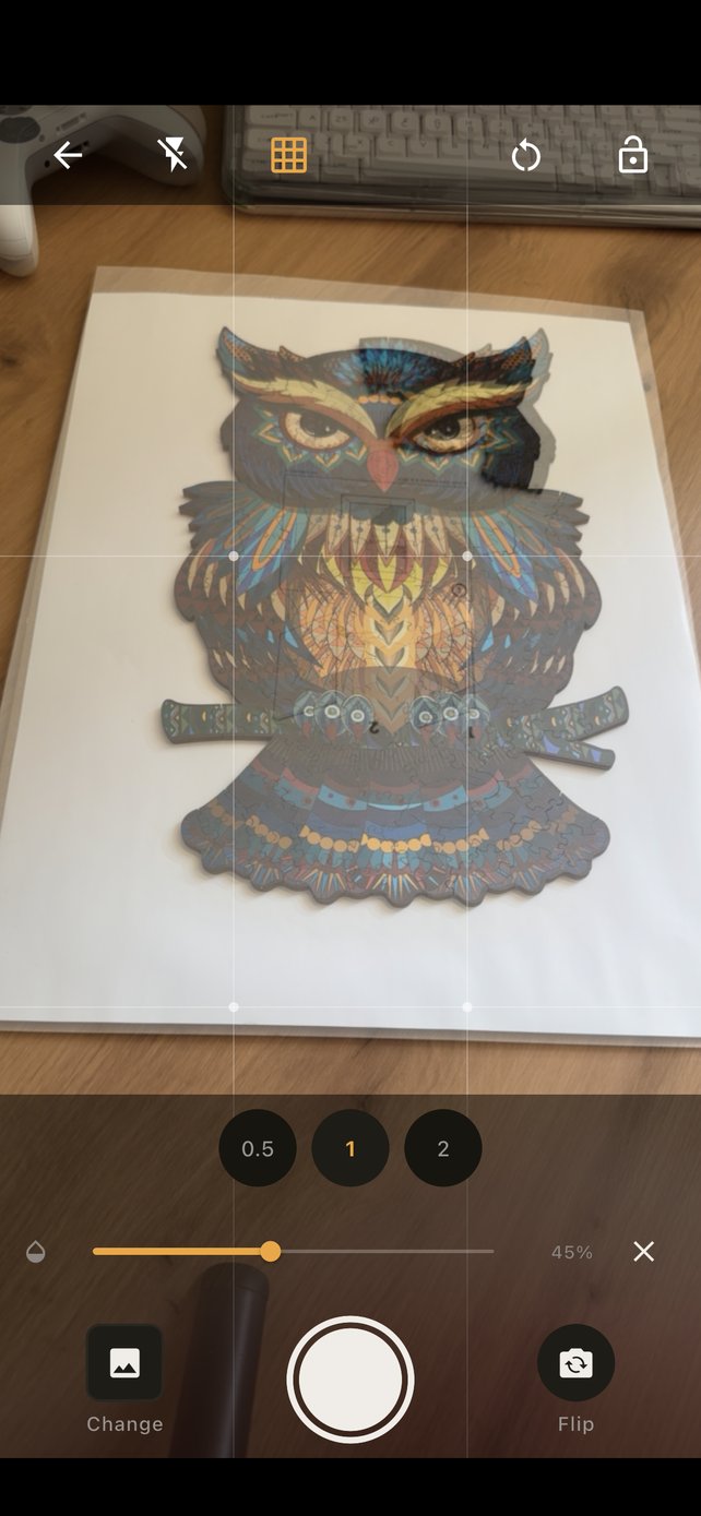 Overlay alignment screenshot